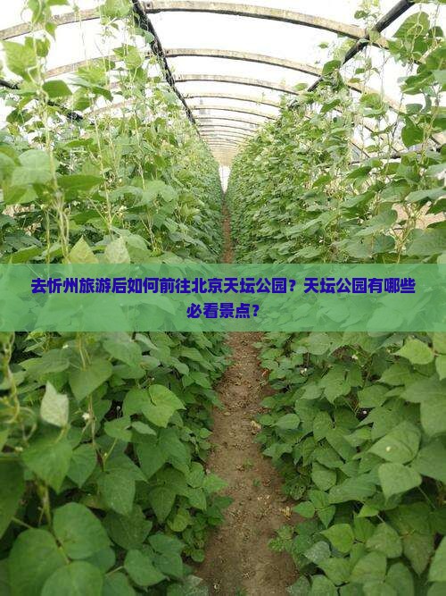 忻州去北京天坛公园旅游