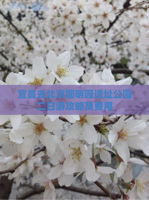 宜昌去北京圆明园遗址公园二日游