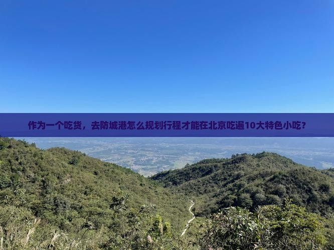 防城港去北京旅游小吃