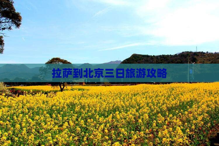 拉萨到北京环球度假区三日游