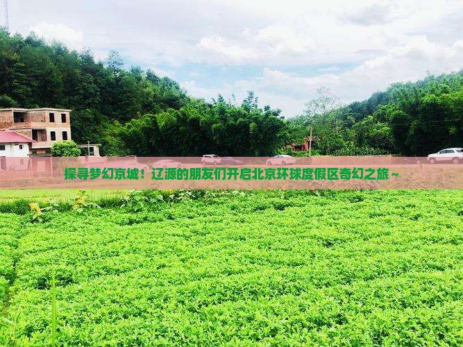 辽源去北京环球度假区大型旅游团