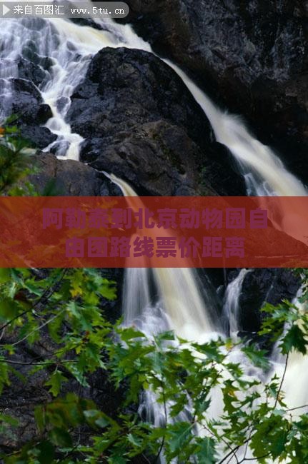 阿勒泰到北京动物园自由团