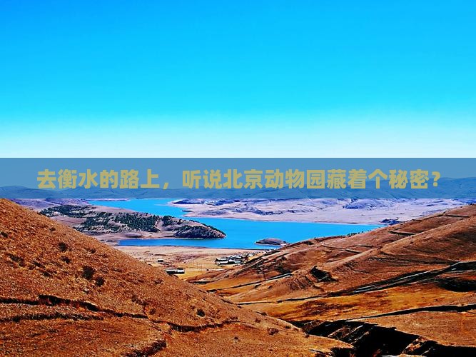 衡水去北京动物园景点