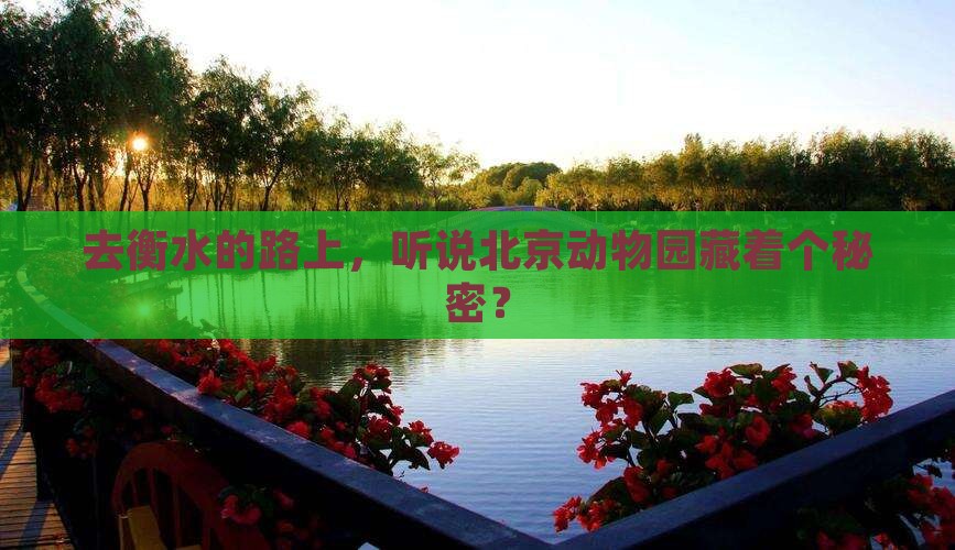 衡水去北京动物园景点