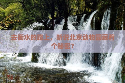 衡水去北京动物园景点