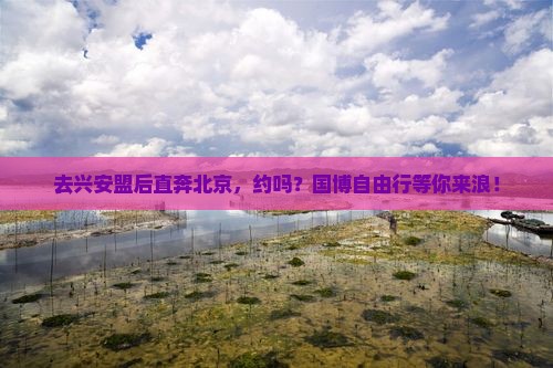 兴安盟去北京中国国家博物馆自由团