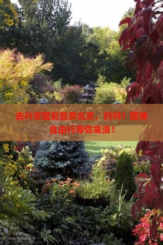 兴安盟去北京中国国家博物馆自由团