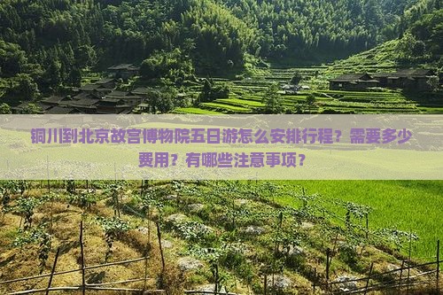铜川到北京故宫博物院五日游 铜川到北京故宫博物院五日游