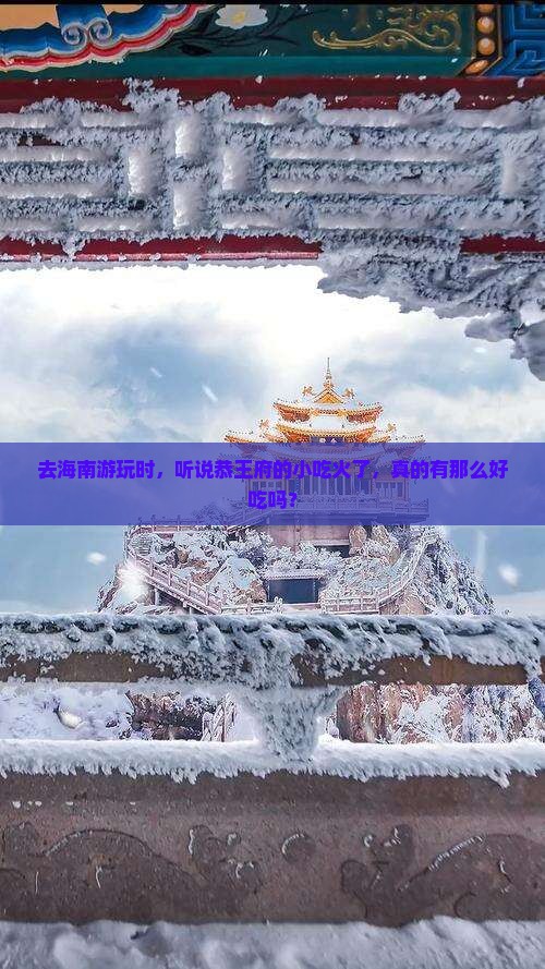 海南去北京恭王府旅游小吃