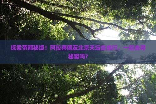 阿拉善盟去北京天坛公园自由团