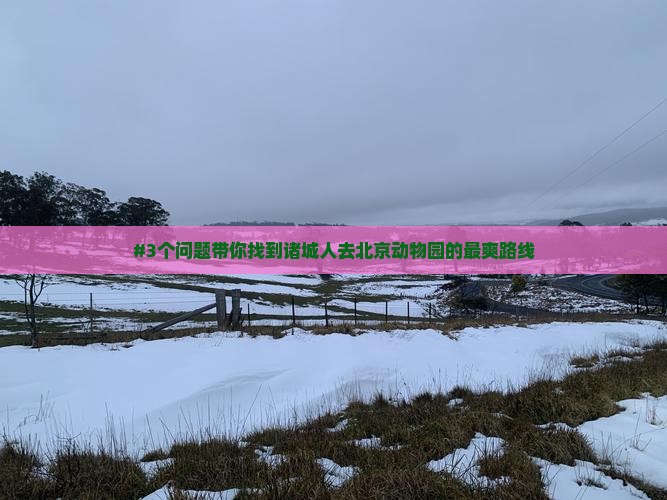 诸城去北京动物园景点
