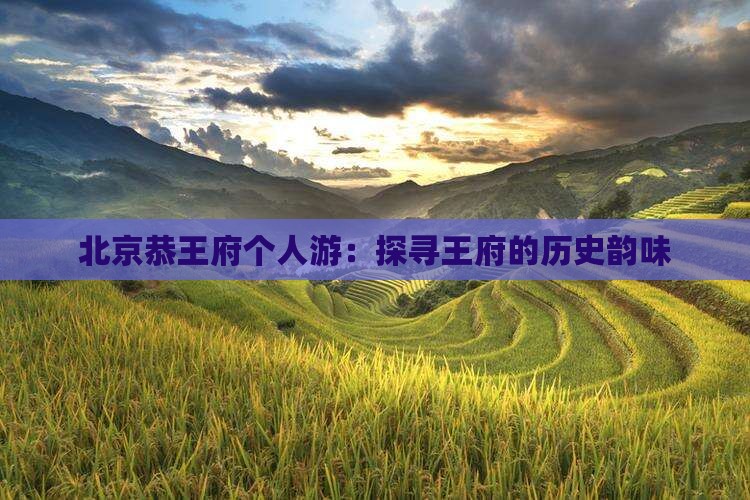 来宾到北京恭王府个人游