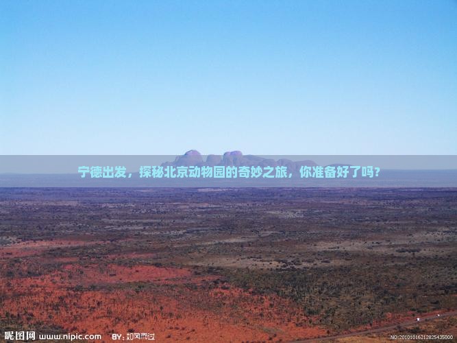 宁德到北京动物园旅行社
