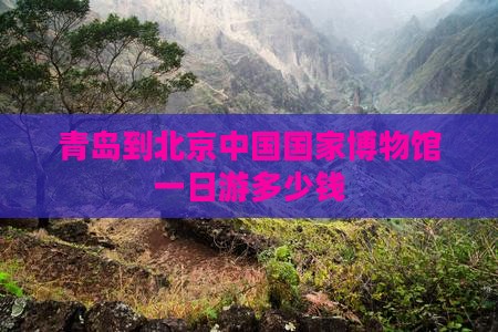 青岛到北京中国国家博物馆一日游