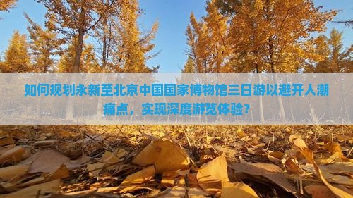 永新到北京中国国家博物馆三日游
