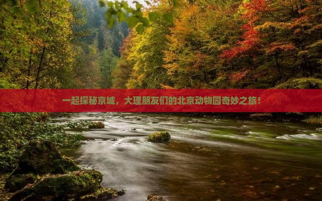 大理到北京动物园团体旅游