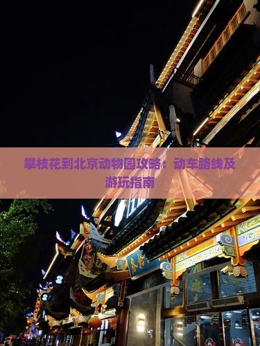 攀枝花到北京动物园攻略