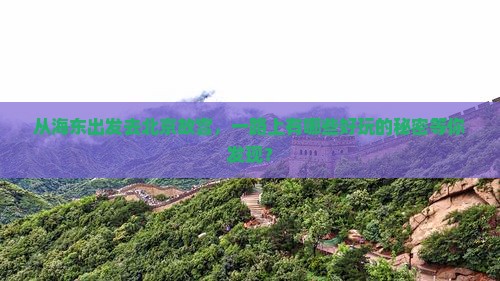 海东到北京故宫博物院哪里玩
