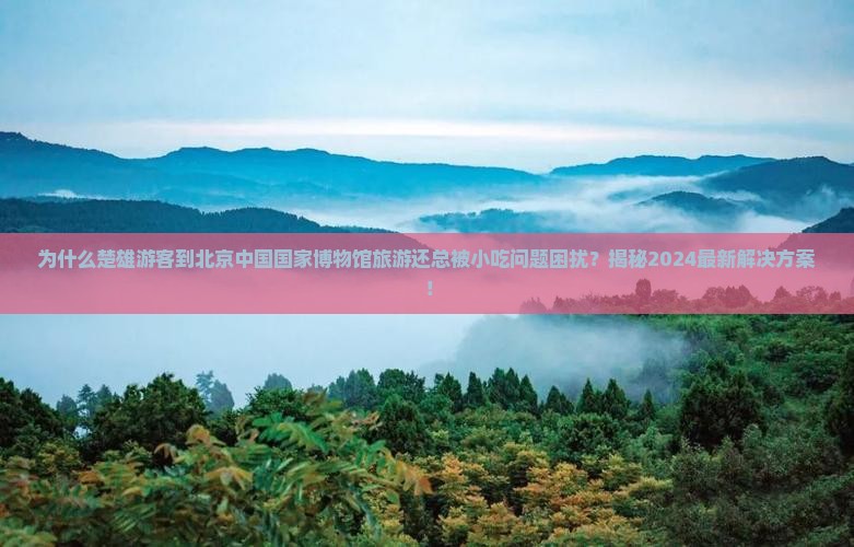 楚雄到北京中国国家博物馆旅游小吃