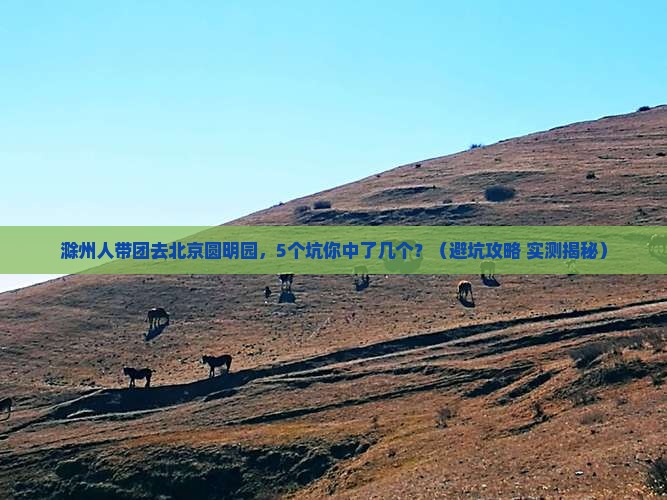 滁州去北京圆明园遗址公园团体旅游