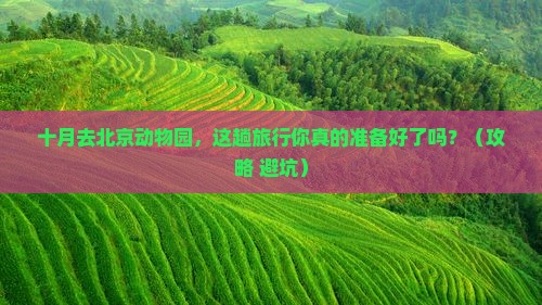 十月到北京动物园旅行社