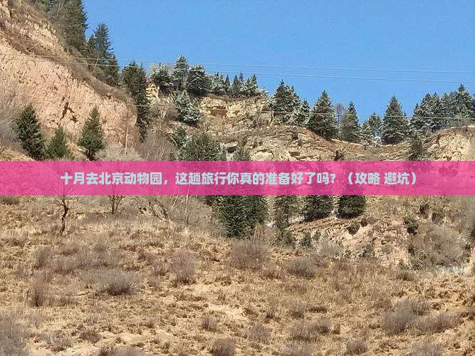 十月到北京动物园旅行社