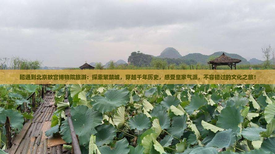 昭通到北京故宫博物院旅游