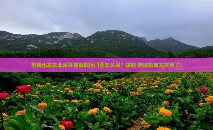 鹤岗去北京环球度假区门票