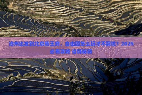 沧州到北京恭王府自由团