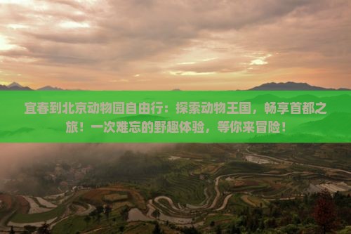 宜春到北京动物园自由行