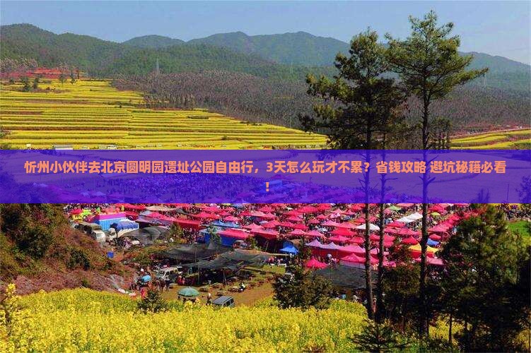 忻州去北京圆明园遗址公园自由行