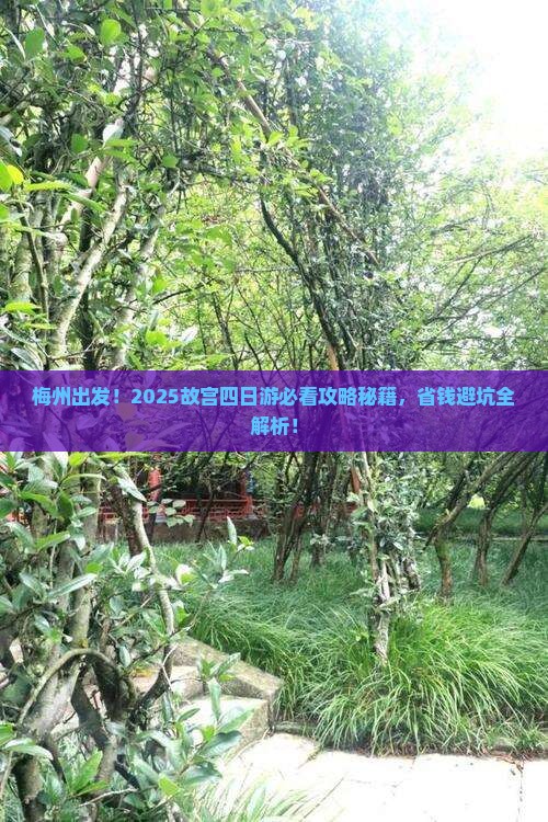 梅州去北京故宫博物院四日游