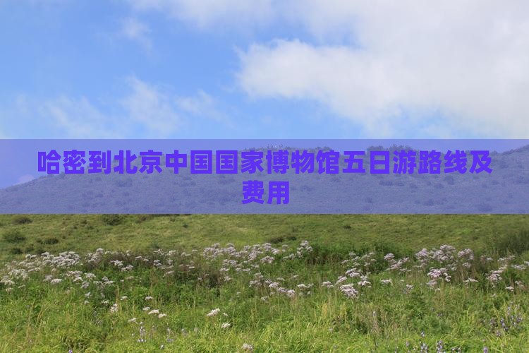 哈密到北京中国国家博物馆五日游