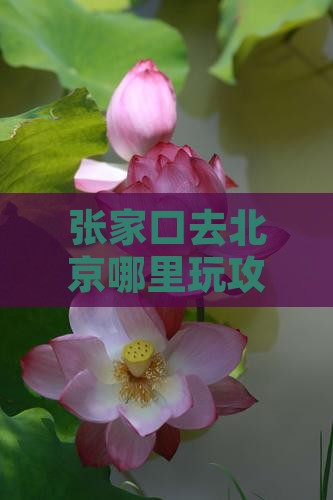 张家口去北京哪里玩
