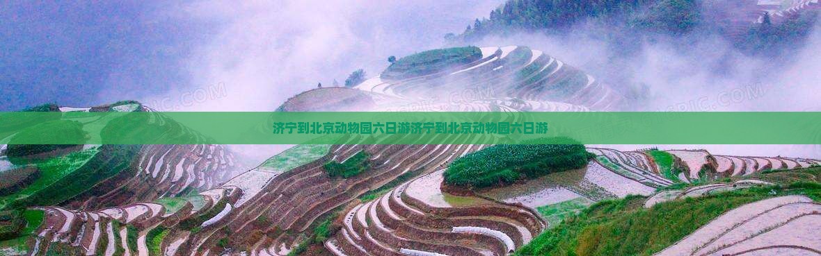 济宁到北京动物园六日游