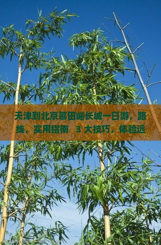 天津到北京慕田峪长城一日游