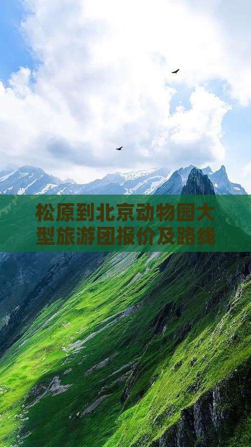 松原到北京动物园大型旅游团
