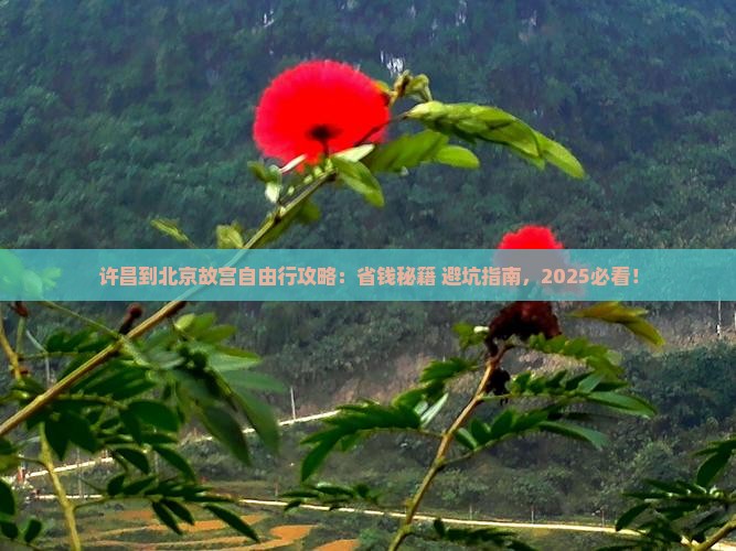 许昌到北京故宫博物院自由行
