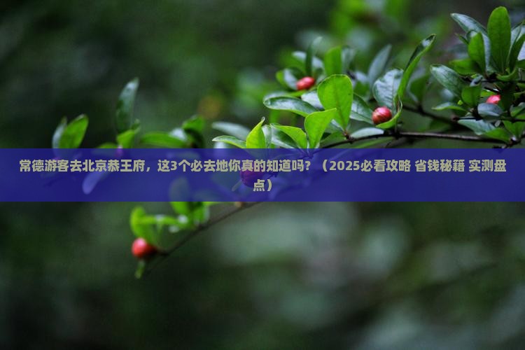 常德去北京恭王府必去地