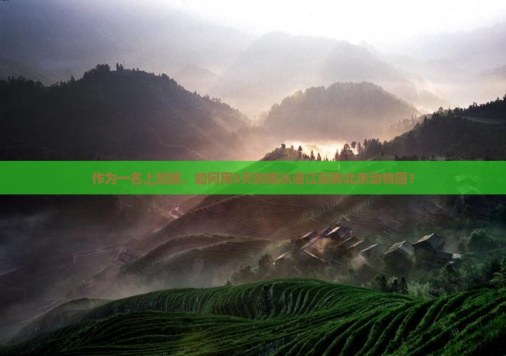 湛江到北京动物园个人游