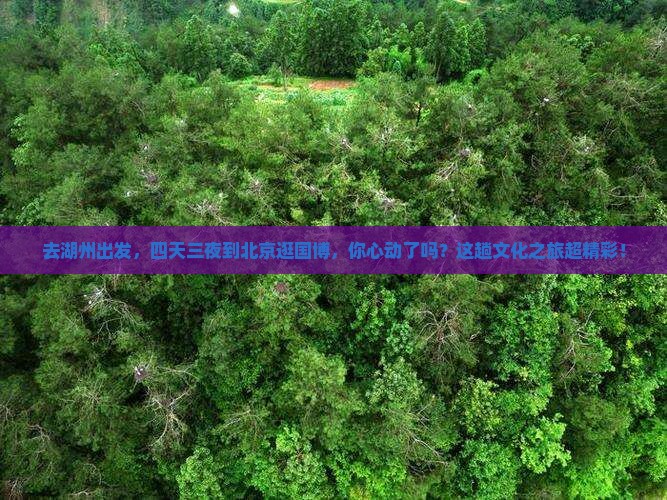 湖州去北京中国国家博物馆四日游