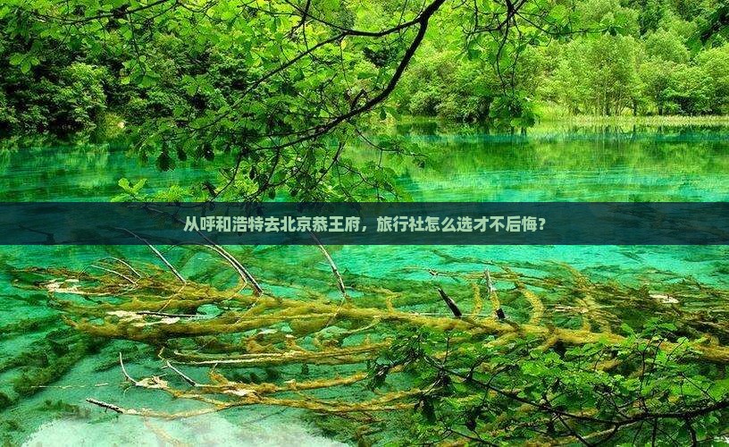 呼和浩特到北京恭王府旅行社