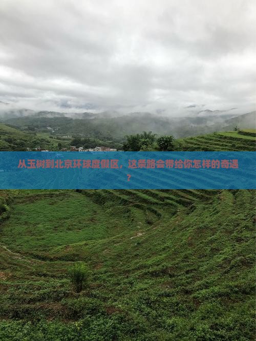 玉树到北京环球度假区个人游