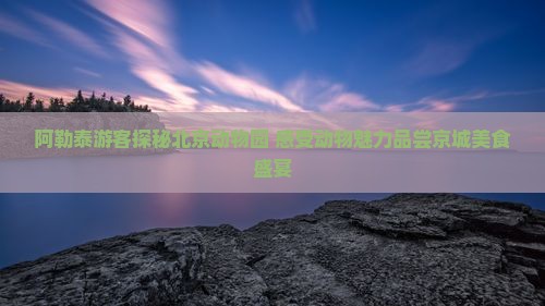 阿勒泰到北京动物园旅游小吃