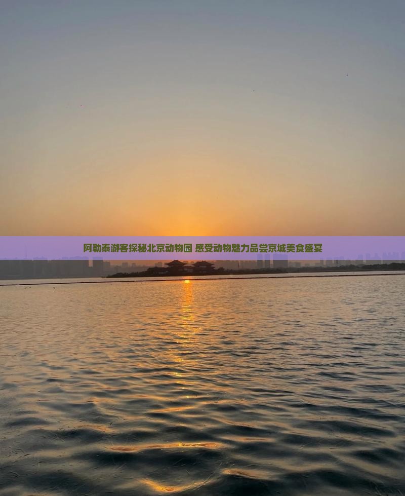 阿勒泰到北京动物园旅游小吃