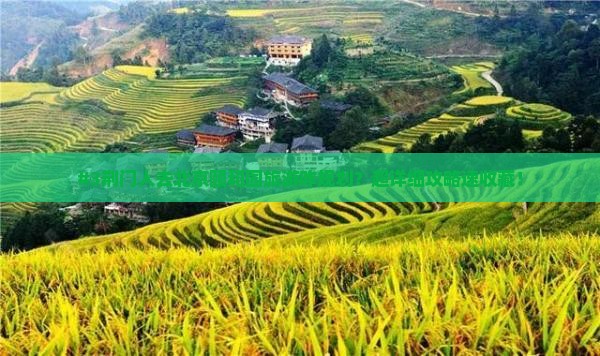 荆门去北京颐和园哪里玩 荆门去北京颐和园哪里玩