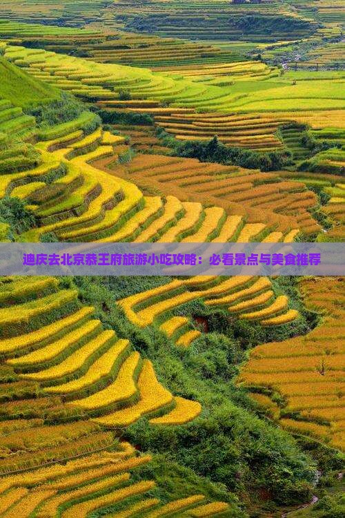 迪庆去北京恭王府旅游小吃