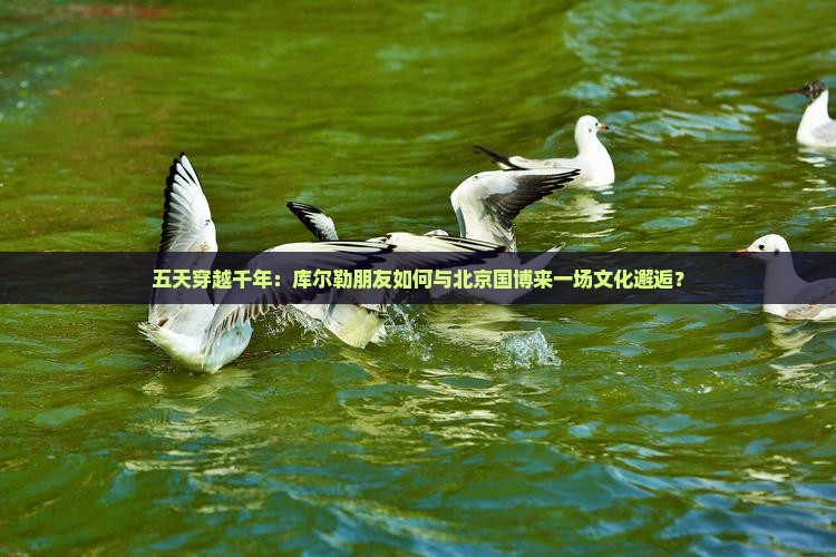 库尔勒到北京中国国家博物馆五日游