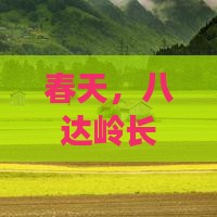 春天去北京八达岭长城哪里玩
