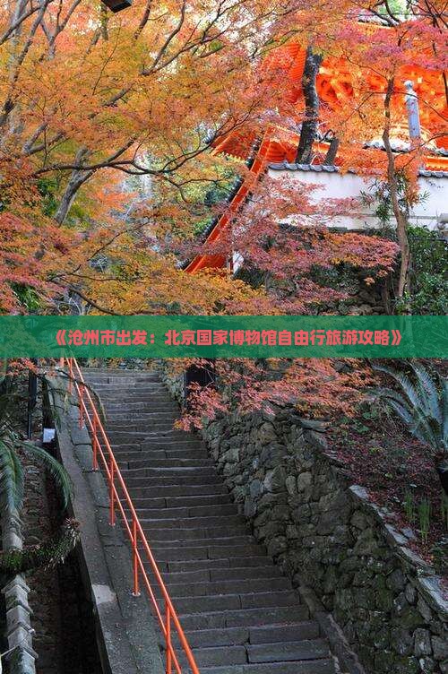 沧州到北京中国国家博物馆自由团